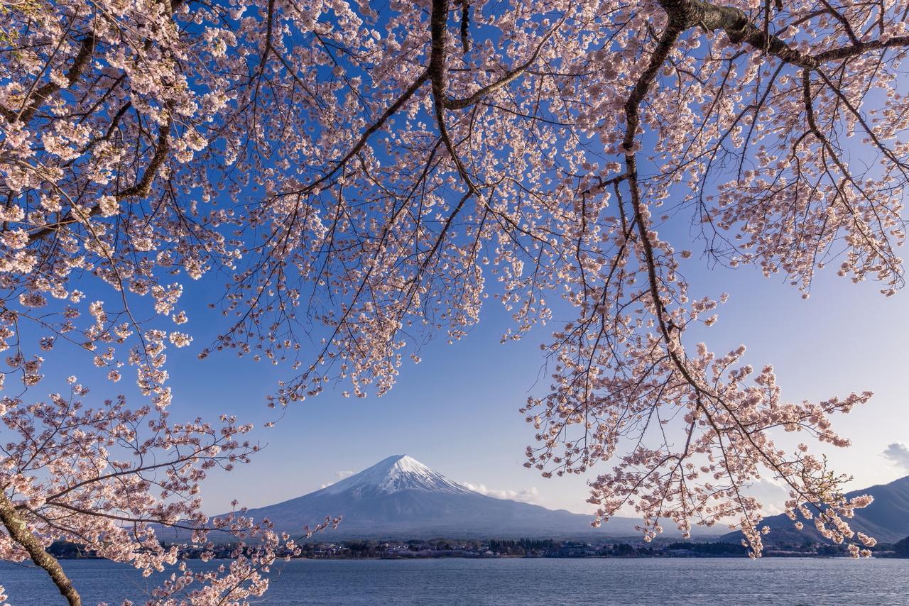 Fuji * Fujikawaguchiko